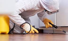 Emergency Pest Control Services in Farmington, UT